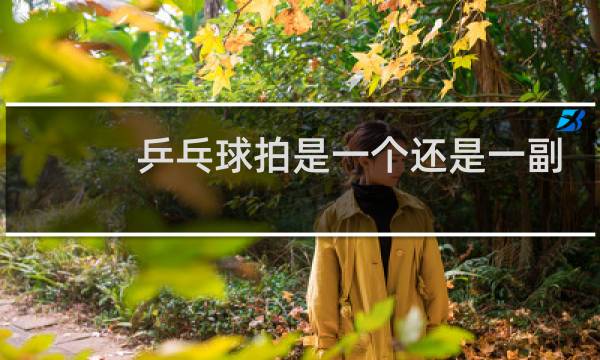 乒乓球拍是一个还是一副