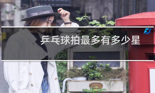 乒乓球拍最多有多少星
