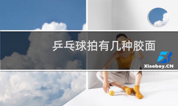 乒乓球拍有几种胶面