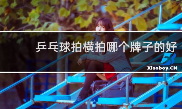 乒乓球拍横拍哪个牌子的好