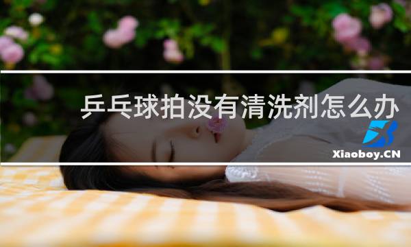 乒乓球拍没有清洗剂怎么办