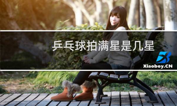 乒乓球拍满星是几星