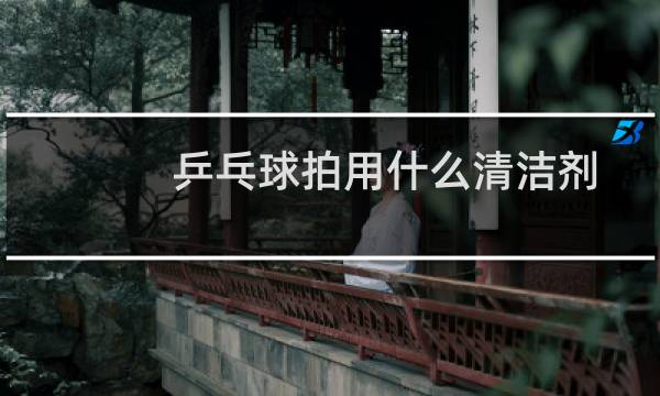 乒乓球拍用什么清洁剂