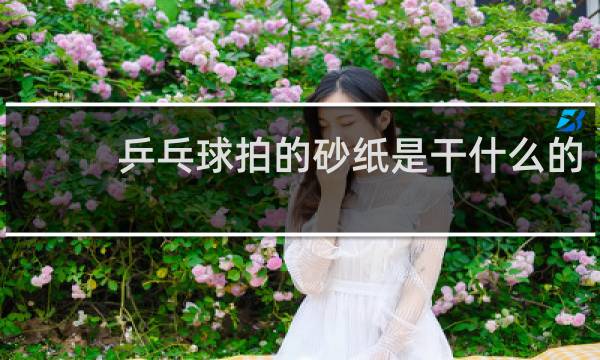 乒乓球拍的砂纸是干什么的