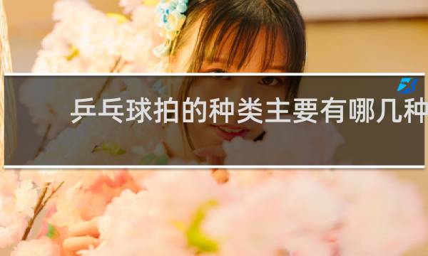 乒乓球拍的种类主要有哪几种