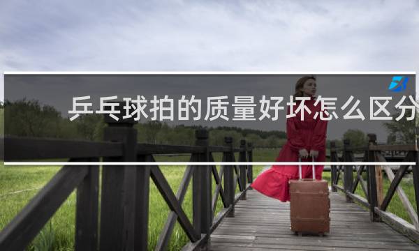 乒乓球拍的质量好坏怎么区分