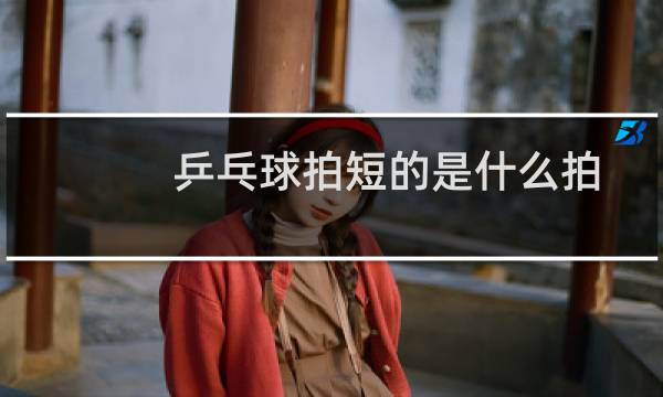 乒乓球拍短的是什么拍