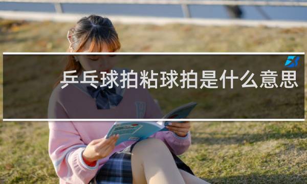 乒乓球拍粘球拍是什么意思