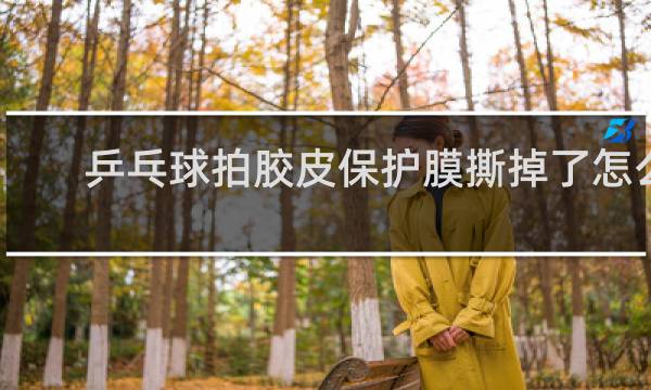 乒乓球拍胶皮保护膜撕掉了怎么办