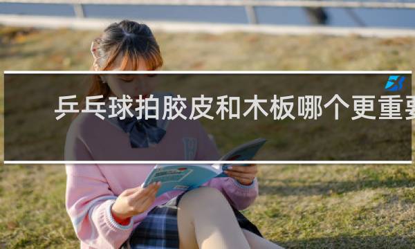 乒乓球拍胶皮和木板哪个更重要