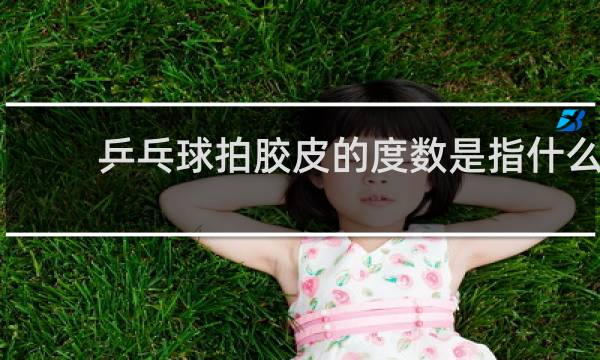 乒乓球拍胶皮的度数是指什么