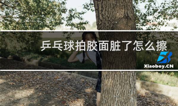 乒乓球拍胶面脏了怎么擦