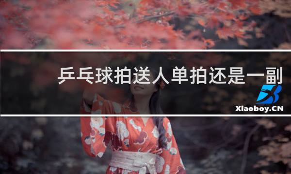 乒乓球拍送人单拍还是一副
