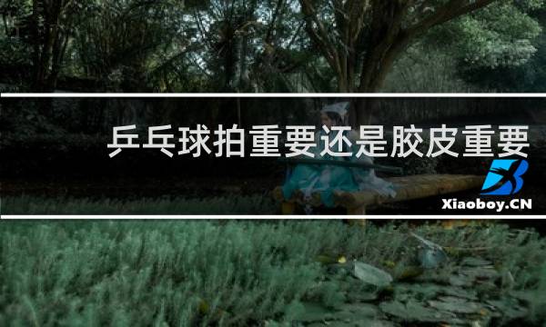 乒乓球拍重要还是胶皮重要