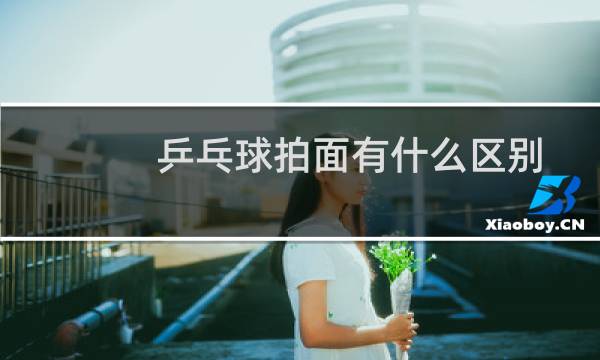 乒乓球拍面有什么区别