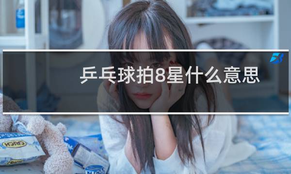 乒乓球拍8星什么意思