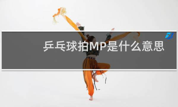 乒乓球拍MP是什么意思