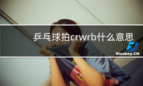 乒乓球拍crwrb什么意思