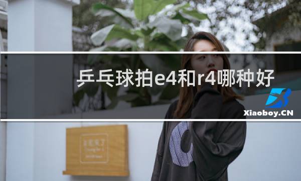 乒乓球拍e4和r4哪种好