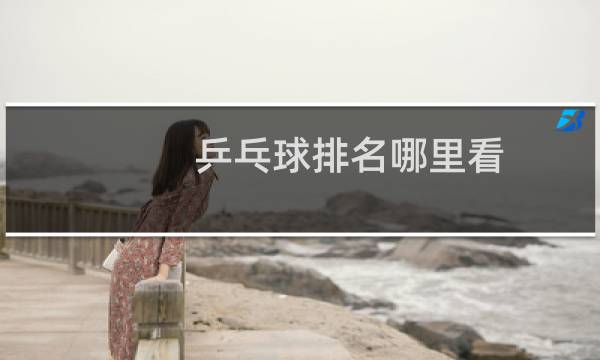 乒乓球排名哪里看