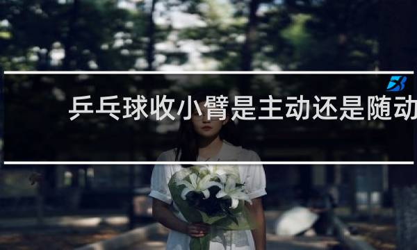 乒乓球收小臂是主动还是随动