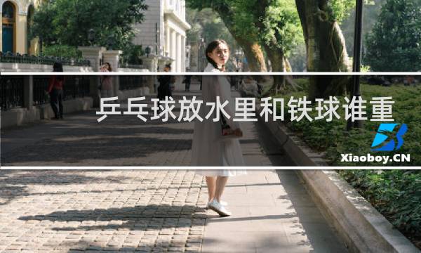 乒乓球放水里和铁球谁重