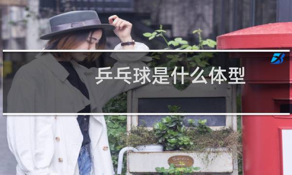 乒乓球是什么体型