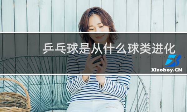 乒乓球是从什么球类进化