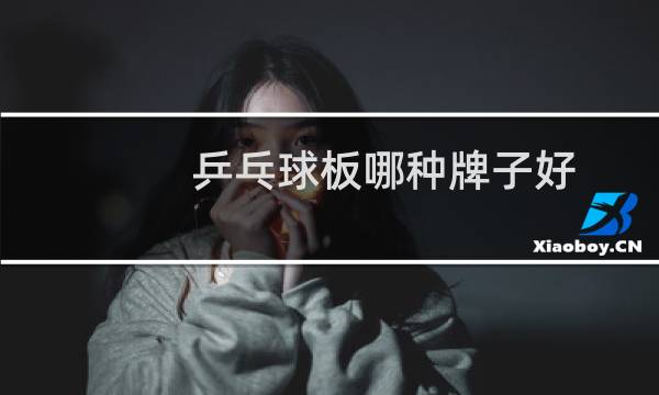 乒乓球板哪种牌子好