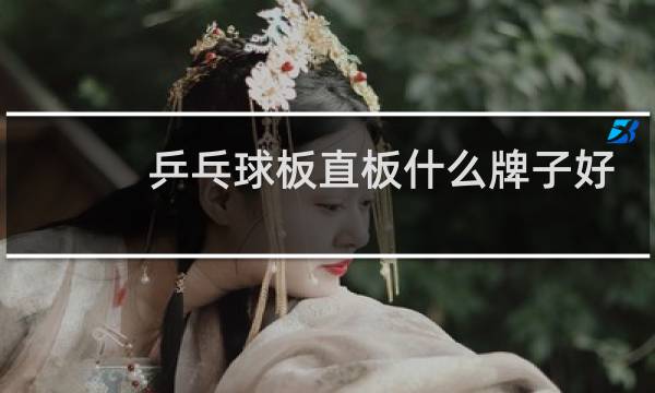 乒乓球板直板什么牌子好