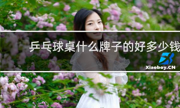 乒乓球桌什么牌子的好多少钱