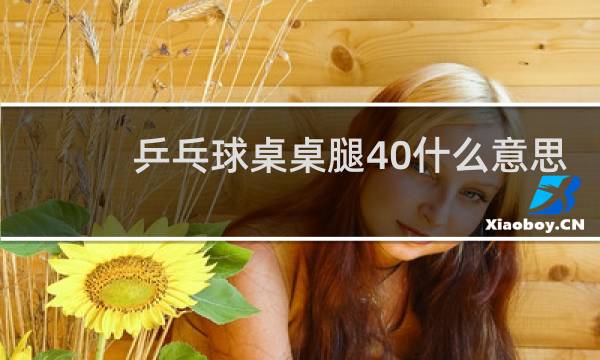 乒乓球桌桌腿40什么意思