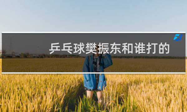 乒乓球樊振东和谁打的