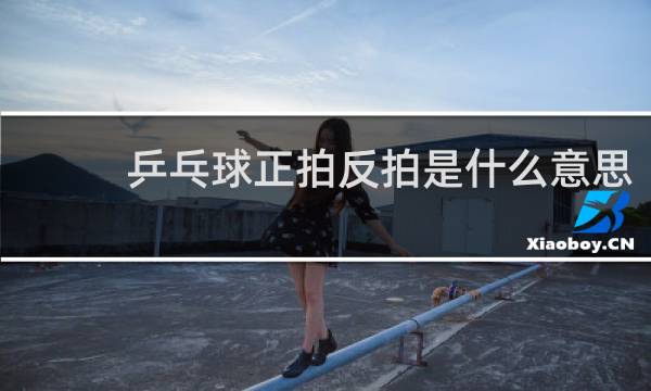 乒乓球正拍反拍是什么意思