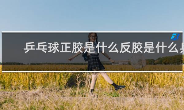乒乓球正胶是什么反胶是什么乒乓球正胶是什么反胶是什么