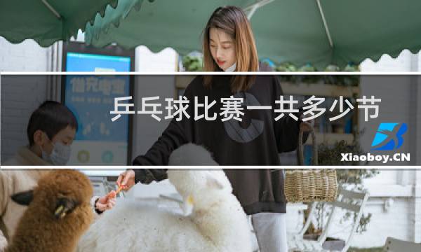 乒乓球比赛一共多少节