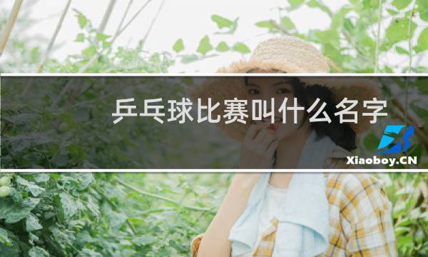 乒乓球比赛叫什么名字