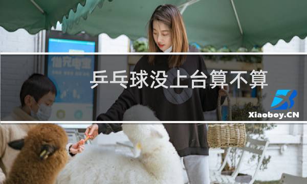 乒乓球没上台算不算