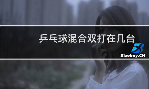 乒乓球混合双打在几台