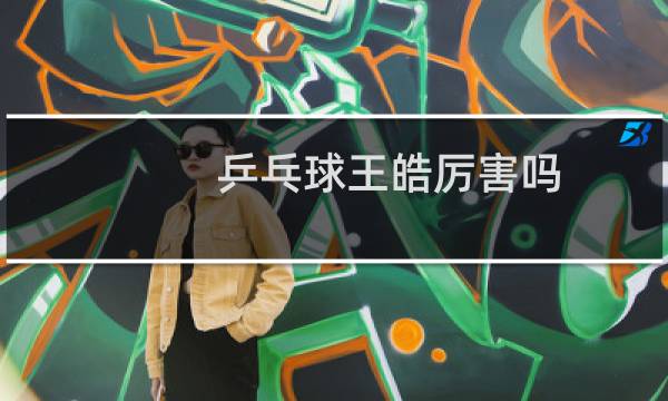 乒乓球王皓厉害吗