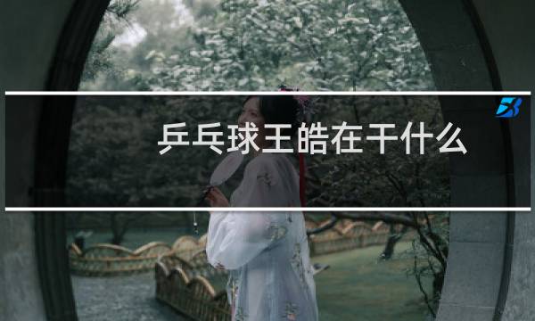 乒乓球王皓在干什么
