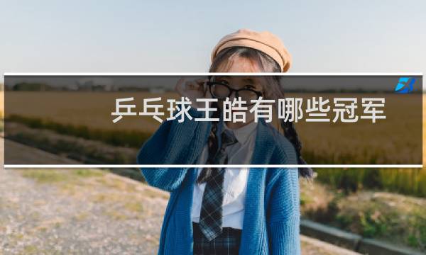 乒乓球王皓有哪些冠军