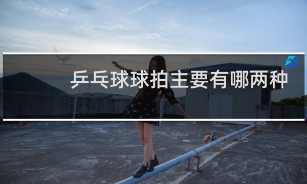 乒乓球球拍主要有哪两种