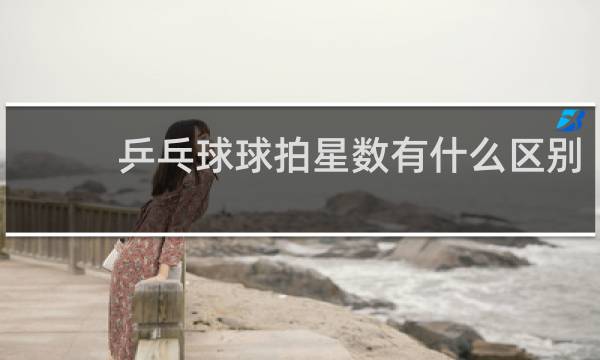 乒乓球球拍星数有什么区别