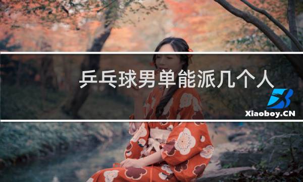 乒乓球男单能派几个人