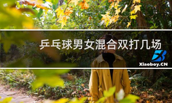 乒乓球男女混合双打几场
