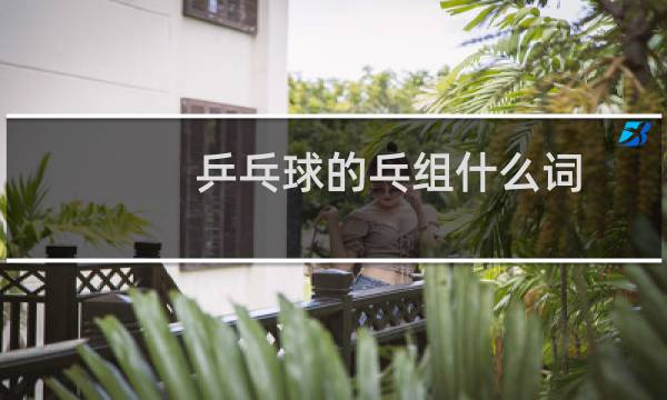 乒乓球的乓组什么词