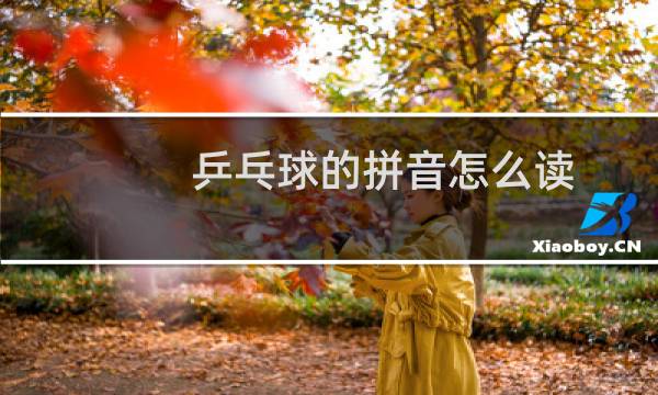 乒乓球的拼音怎么读