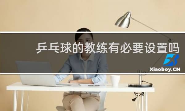 乒乓球的教练有必要设置吗