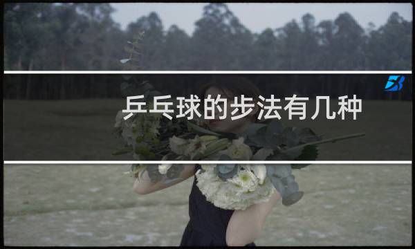 乒乓球的步法有几种